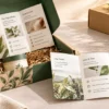 Trifold brochure used as a packaging insert inside a custom product box